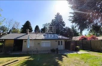 Eladó Szigetmonostori hétvégi ház hirdetés (72863553)