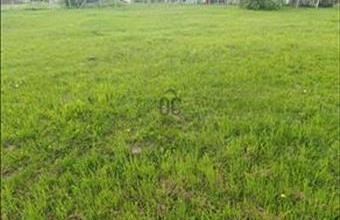 Eladó Zalacsányi lakóövezeti telek hirdetés (47829835)