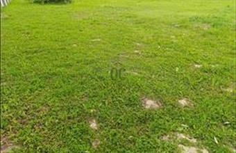 Eladó Zalacsányi lakóövezeti telek hirdetés (22749398)