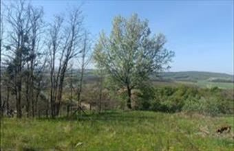 Eladó Súri egyéb telek hirdetés (86374534)