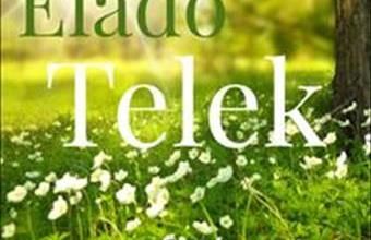 Eladó Debreceni lakóövezeti telek hirdetés (82589344)