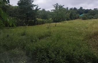 Eladó Győrsági egyéb telek hirdetés (77879898)