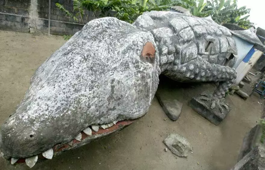 Krokodil ház