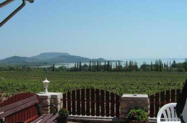 Szeretnél venni egy szuper balatoni nyaralót?