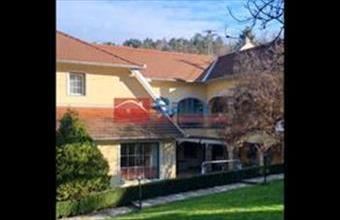 Eladó Tamási étterem, vendéglő hirdetés (69548325)