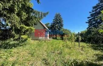 Eladó Váci egyéb telek hirdetés (53474598)