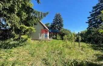 Eladó Váci egyéb telek hirdetés (53474598)