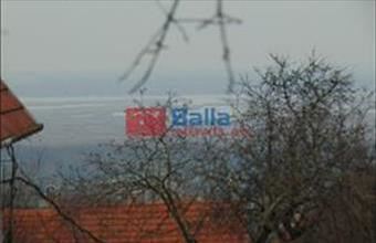 Eladó Pákozdi egyéb telek hirdetés (52744733)