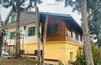 Eladó Leányfalui családi ház hirdetés (98439733)