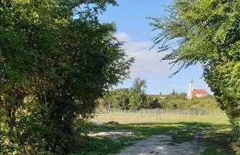 Eladó Csajági lakóövezeti telek hirdetés (57371272) Eladó Csajági lakóövezeti telek hirdetés (57371272)