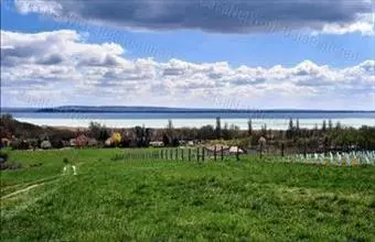 Eladó Balatonrendesi egyéb mezőgazdasági ingatlan hirdetés (87874739) Eladó Balatonrendesi egyéb mezőgazdasági ingatlan hirdetés (87874739)