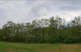 Eladó Őrbottyáni egyéb mezőgazdasági ingatlan hirdetés (35849755)