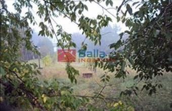 Eladó Székesfehérvári egyéb telek hirdetés (22256934)