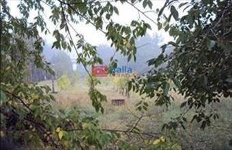 Eladó Székesfehérvári egyéb telek hirdetés (22256934)