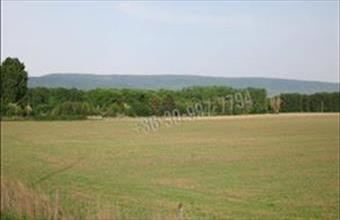 Eladó Tatai egyéb ipari ingatlan hirdetés (33734983)