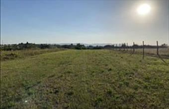 Eladó Váci egyéb telek hirdetés (44435379)