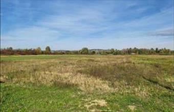 Eladó Keszthelyi egyéb telek hirdetés (74747149)