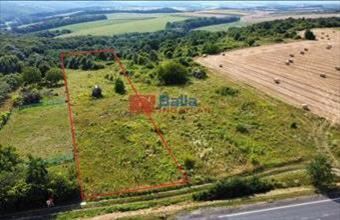 Eladó Berkenyei egyéb telek hirdetés (39827848)