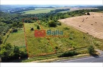 Eladó Berkenyei egyéb telek hirdetés (39827848)