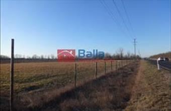 Eladó Tiszakécskei telephely hirdetés (93942566)