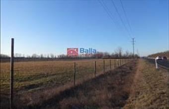 Eladó Tiszakécskei telephely hirdetés (93942566)