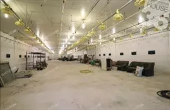 Kiadó Lajosmizsei egyéb ipari ingatlan hirdetés (24446137) Kiadó Lajosmizsei egyéb ipari ingatlan hirdetés (24446137)