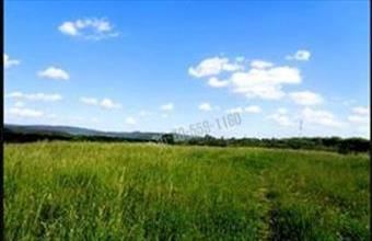 Eladó Váci egyéb telek hirdetés (96795522)