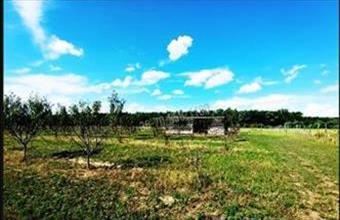 Eladó Sződi egyéb telek hirdetés (89837548)