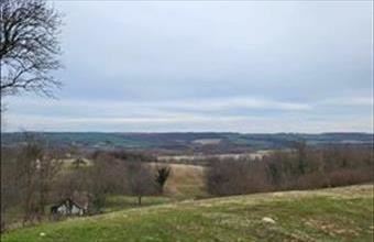 Eladó Zalacsányi egyéb telek hirdetés (99432333)