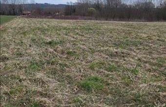 Eladó Kehidakustányi egyéb telek hirdetés (45553644)