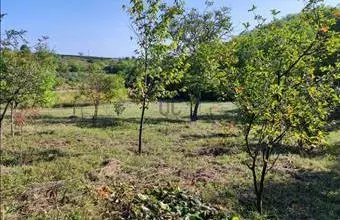 Eladó Balatonkeresztúri termőföld, szántó hirdetés (54312996) Eladó Balatonkeresztúri termőföld, szántó hirdetés (54312996)