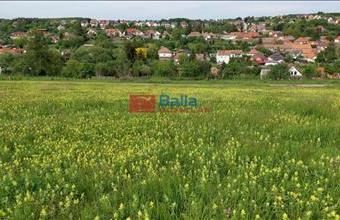 Eladó Berkenyei egyéb telek hirdetés (55553224)