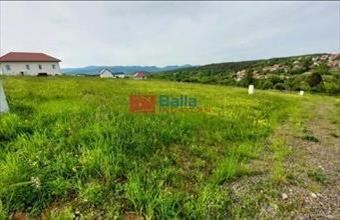 Eladó Berkenyei egyéb telek hirdetés (31745363)