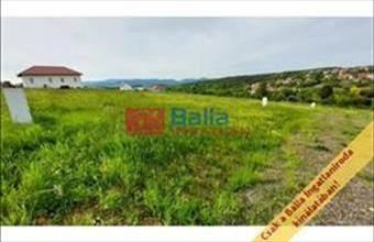 Eladó Berkenyei egyéb telek hirdetés (31745363)