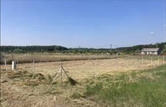 Eladó Abádszalóki egyéb telek hirdetés (73345563)