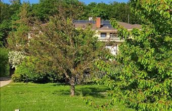 Eladó Budakeszi családi ház hirdetés (34752854)
