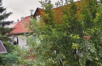 Eladó Szentendrei családi ház hirdetés (86556447)