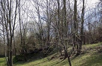 Eladó Borsosberényi egyéb telek hirdetés (87979566)