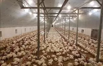 Eladó Mátyásdombi egyéb ipari ingatlan hirdetés (43814246) Eladó Mátyásdombi egyéb ipari ingatlan hirdetés (43814246)