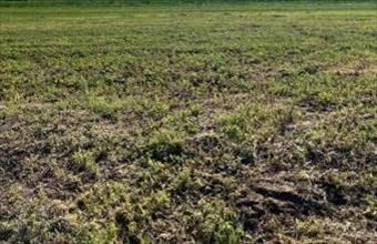 Eladó Örkényi egyéb telek hirdetés (44757579)