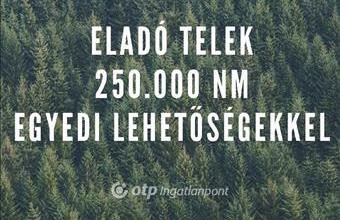 Eladó Debreceni külterületi telek hirdetés (97122236)