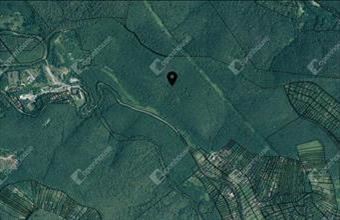 Eladó Miskolci erdő hirdetés (54773768)