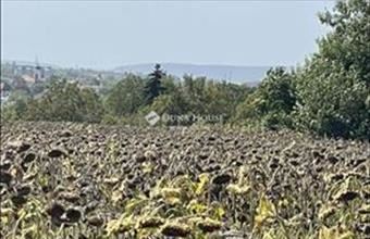 Eladó Bicskei családi ház hirdetés (47223334)