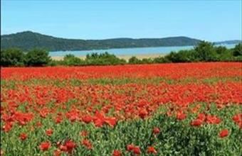 Eladó Balatonudvari egyéb telek hirdetés (37623234)