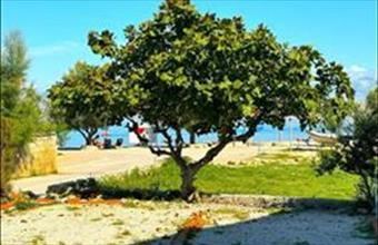 Eladó Horvátországi tégla lakás hirdetés (39727739)