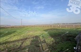 Eladó Szentkirályi tanya hirdetés (76825424)