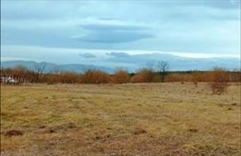 Eladó Őrbottyáni egyéb telek hirdetés (35235634)