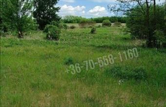 Eladó Őrbottyáni egyéb telek hirdetés (34627385)