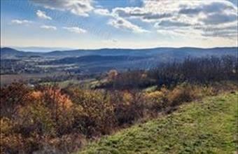 Eladó Pécselyi egyéb mezőgazdasági ingatlan hirdetés (57492377)