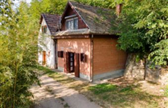 Eladó Patvarci egyéb ház hirdetés (22393672)